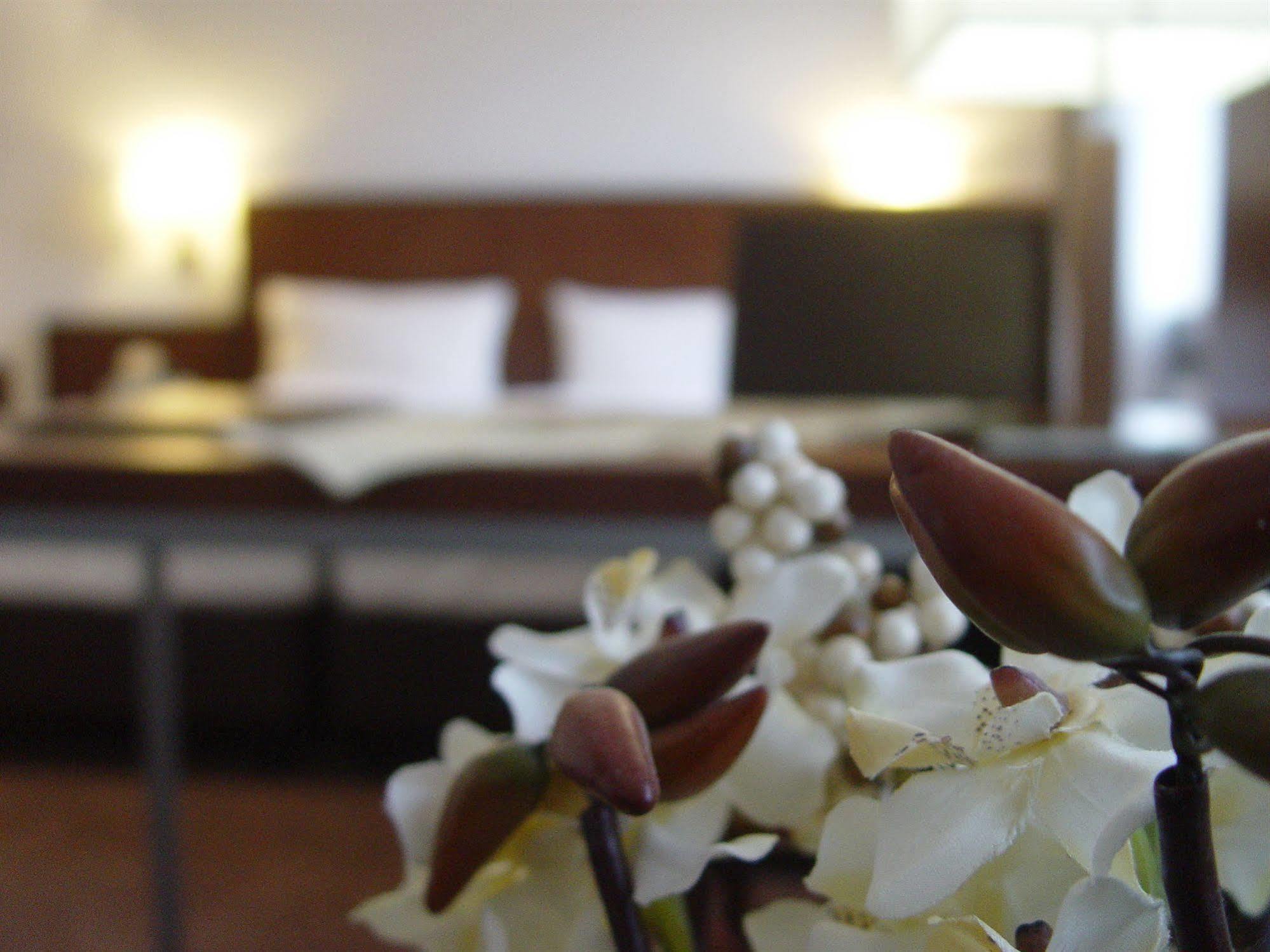 Hotel Zum Adler Bonn Dış mekan fotoğraf