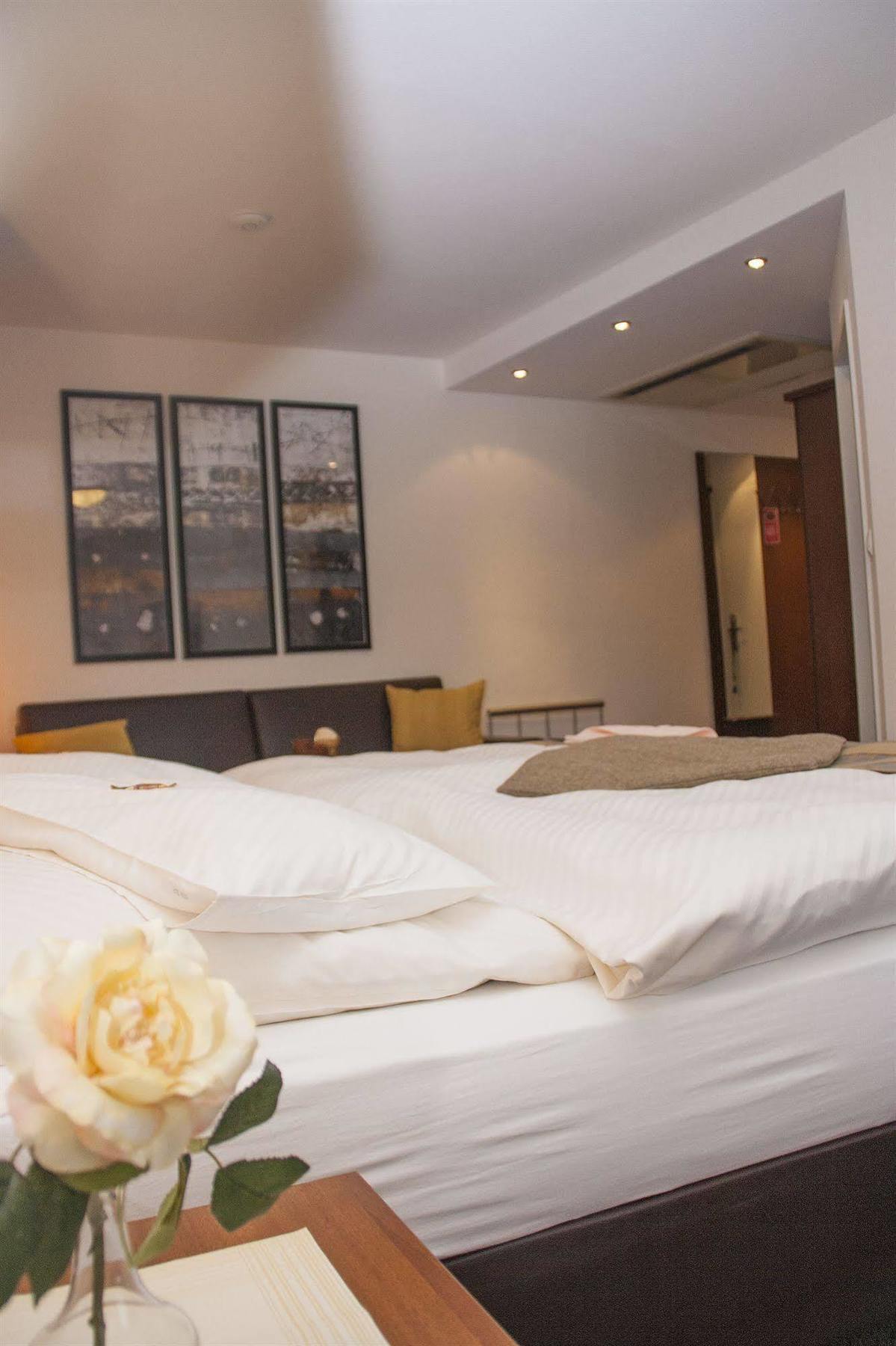 Hotel Zum Adler Bonn Dış mekan fotoğraf